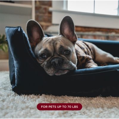 Mulberry Silk Dog Bed