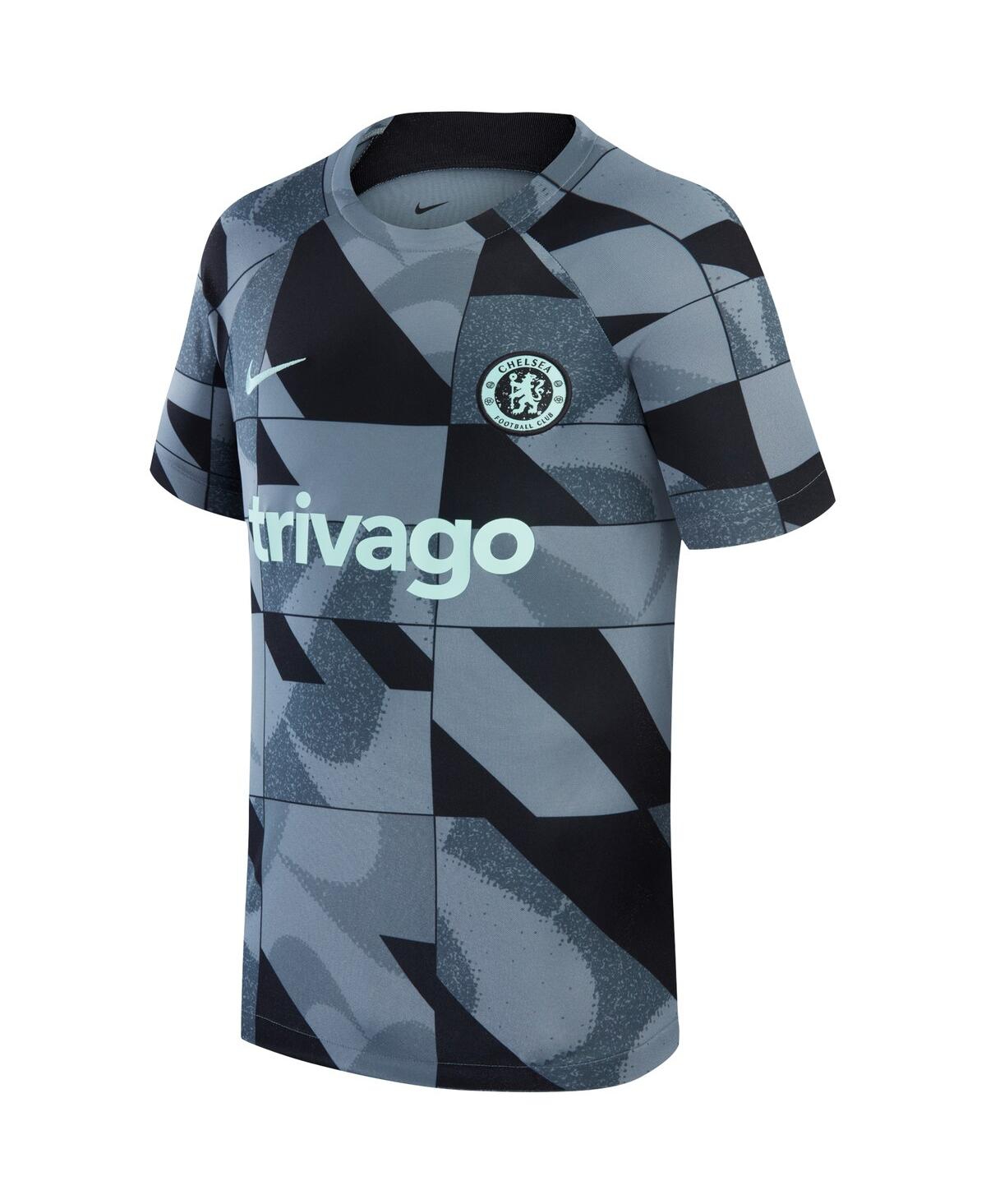 Big Boys NikeChelsea 2023/24 Academy Pro Performance Pre-Match Top - Gray