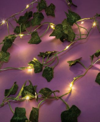 Photo Collage Ivy Fairy Lights