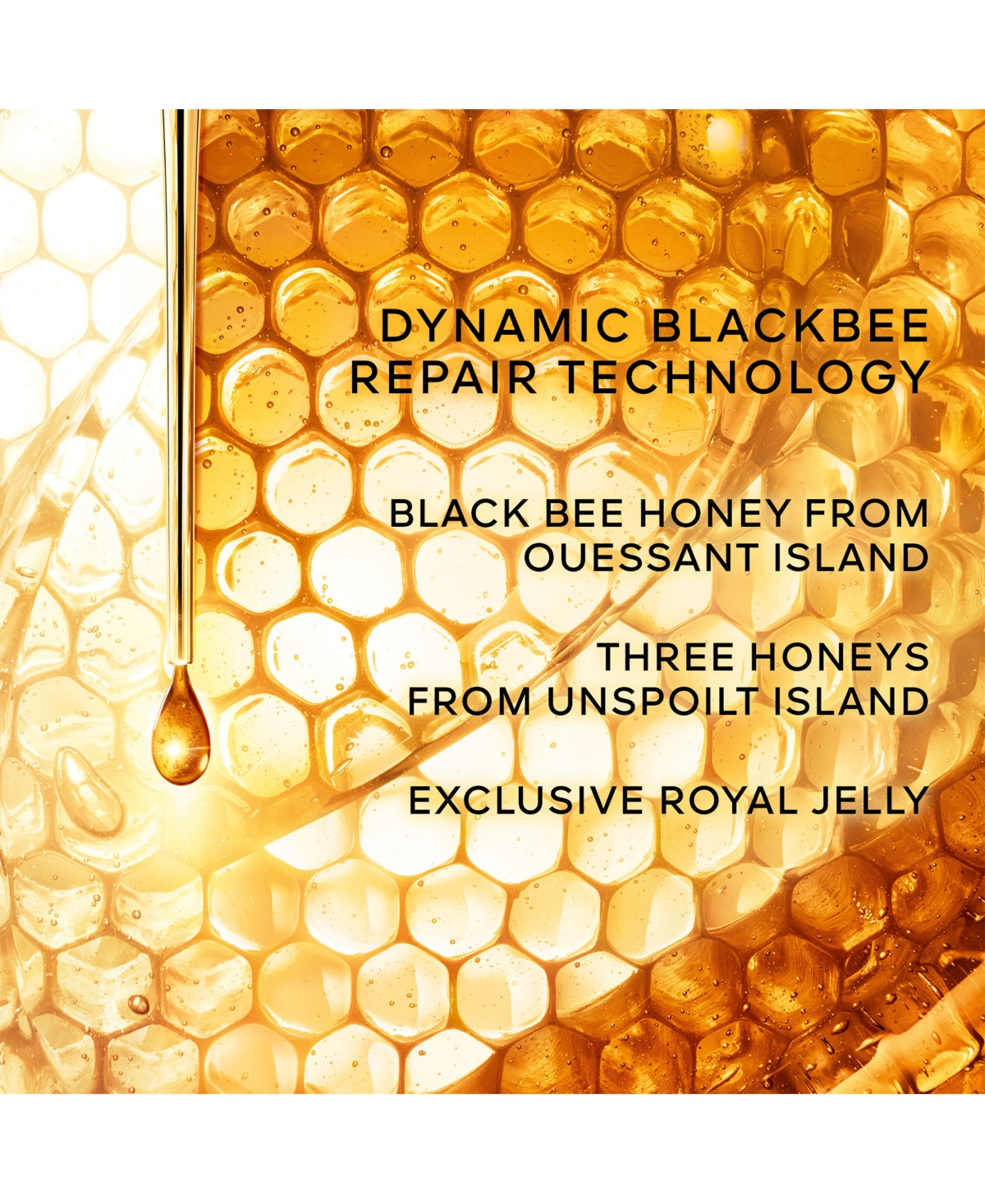 Guerlain Abeille Royale Anti Dark Spot Cream The Refill, 1.6 Oz. In Ab,roy 24 Bright,cr 50ml Jar Refill