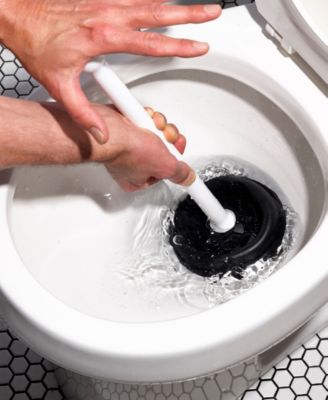 GG Toilet Plunger with Cover