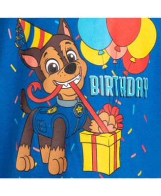 Nickelodeon Chase Birthday Boys Graphic T-Shirt Toddler| Child
