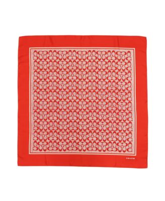 35" Textured Signature C Printed Silk Square 