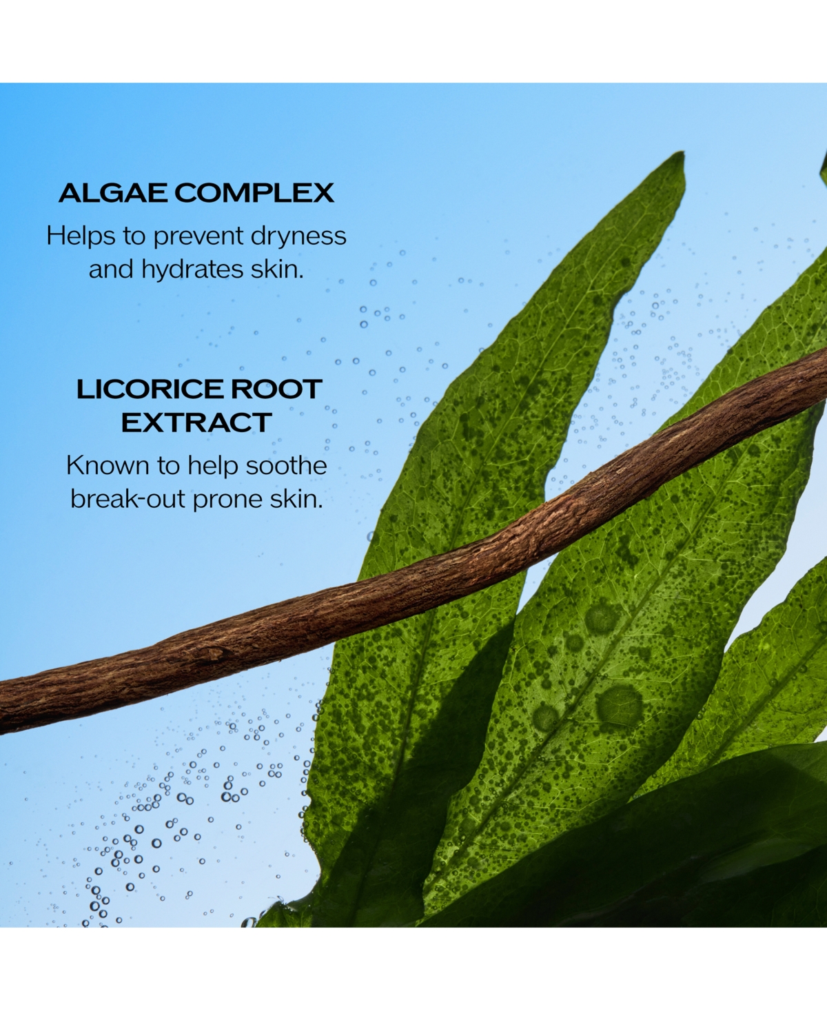 Shiseido Ultimate Sun Protector Lotion Spf 60+, 150 ml