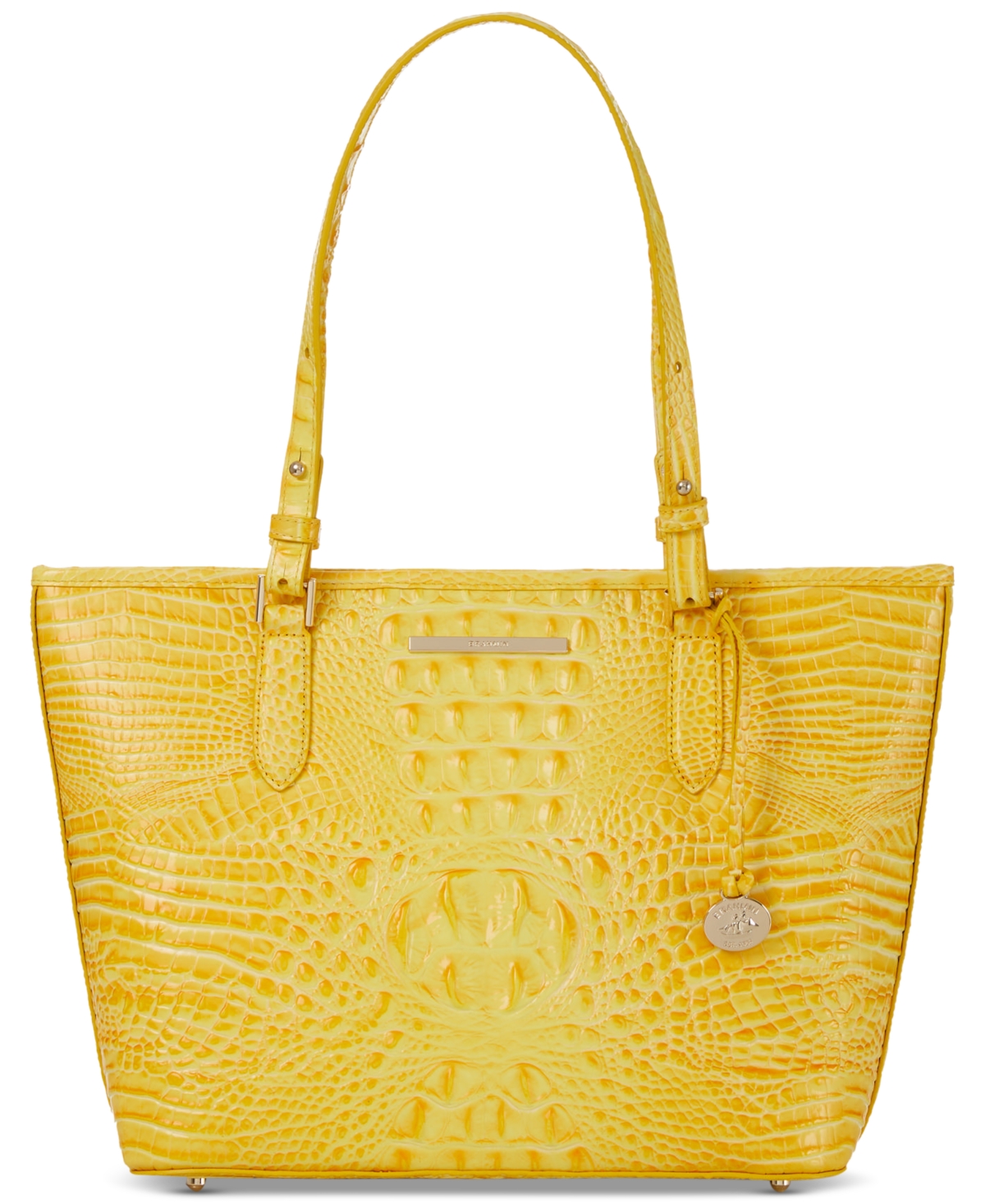 Brahmin Asher Leather Tote In Buttercup
