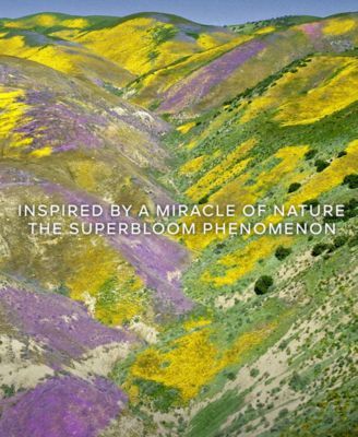 Aqua Allegoria Florabloom Forte Eau de Parfum Refill, 6.7 oz.