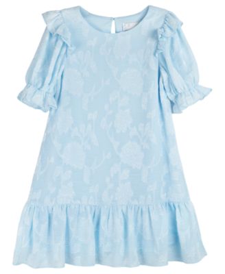 Rare Editions Toddler Girls Floral Burnout Chiffon Dress Macy's