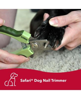 Safari by Dog Grooming Bundle - Professional Dog Nail Trimmer & Curved Firm Slicker Dog Brush