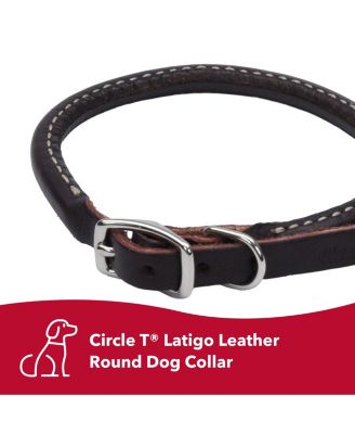 Circle T by Latigo Leather Twist Dog Leash with Brass Hardware (6') & Latigo Leather Round Dog Collar (3/8" x 18")