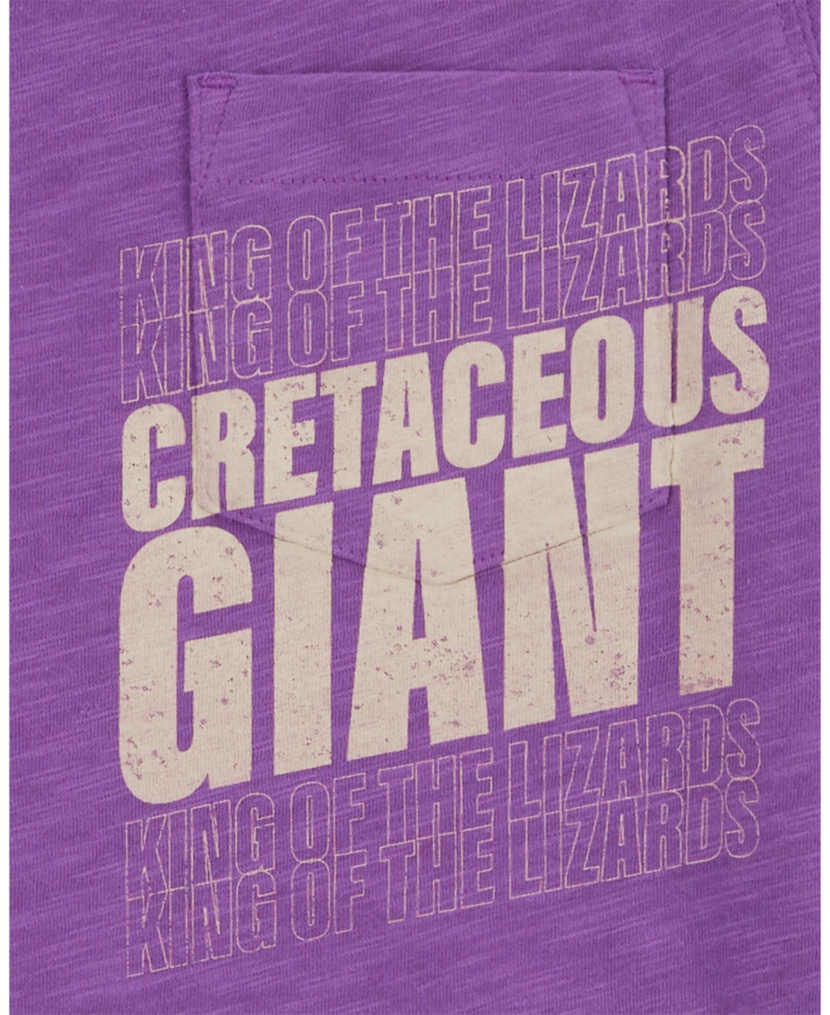 Shop Carter's Big Dinosaur Pocket Graphic T-shirt In Purple