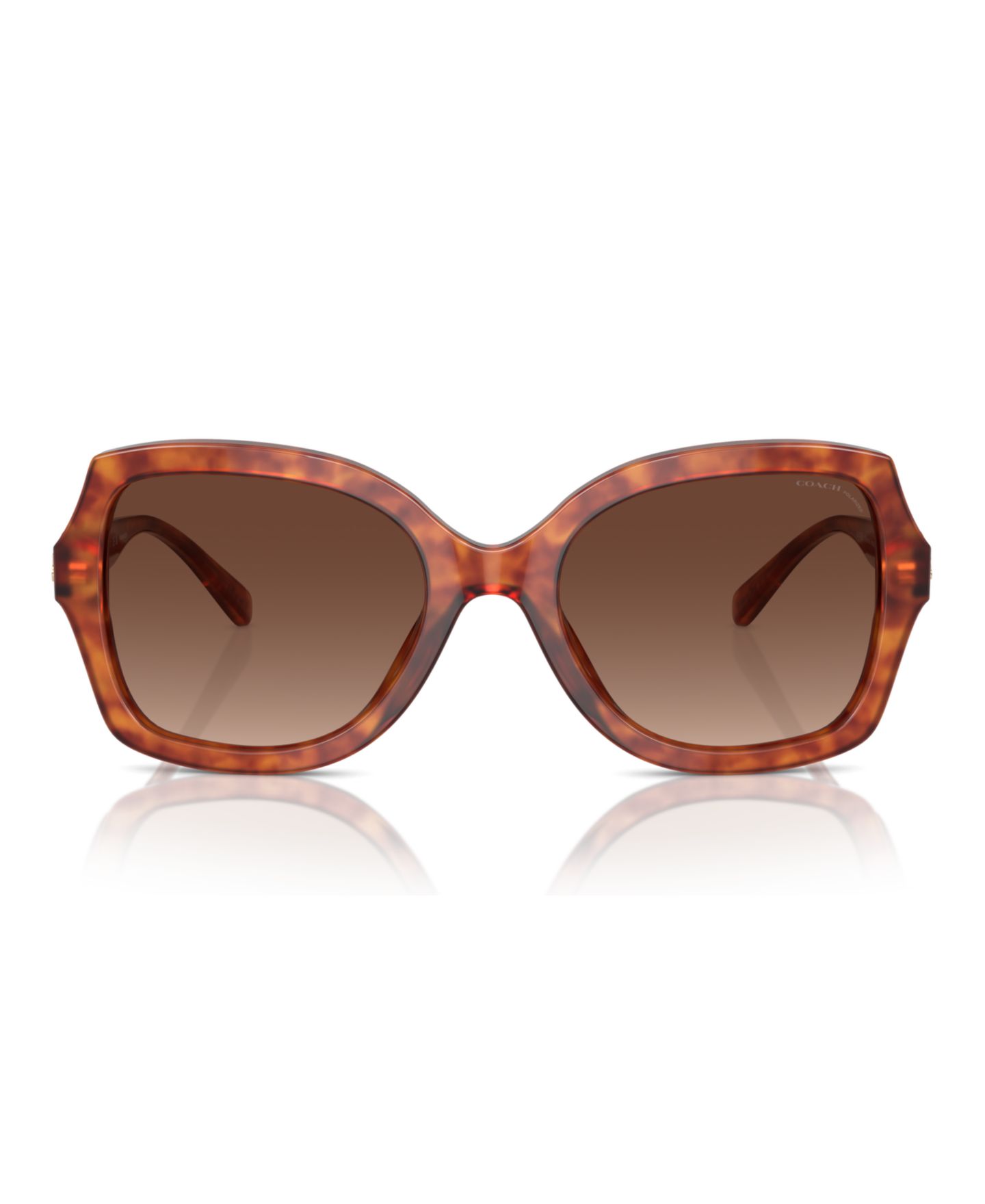 Женские солнцезащитные очки COACH Polarized Sunglasses, L1147 Hc8295, цвет: Карамельный черепаховый — фото 3
