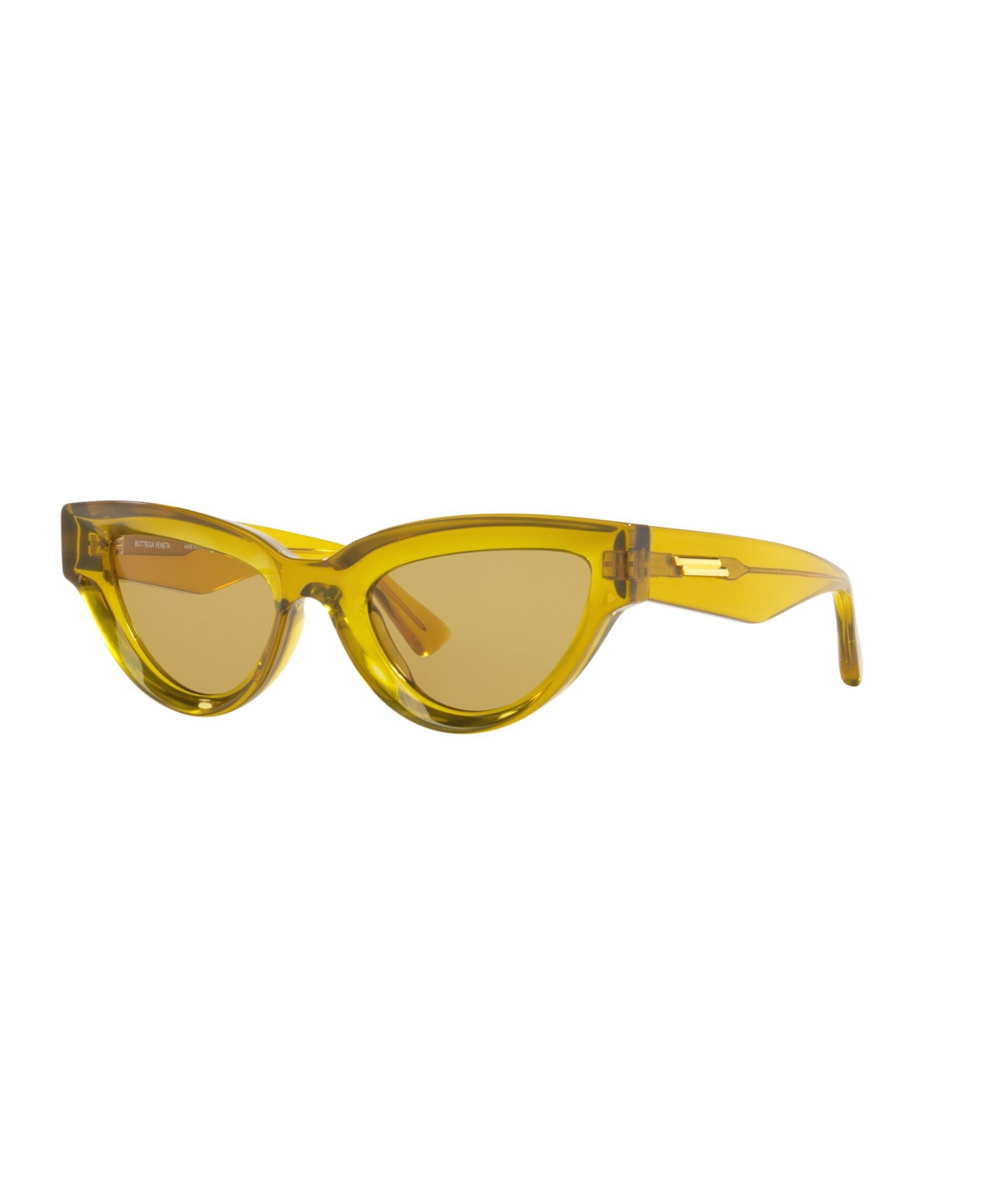 Shop Bottega Veneta Women's Sunglasses, Bv1249s In Brown
