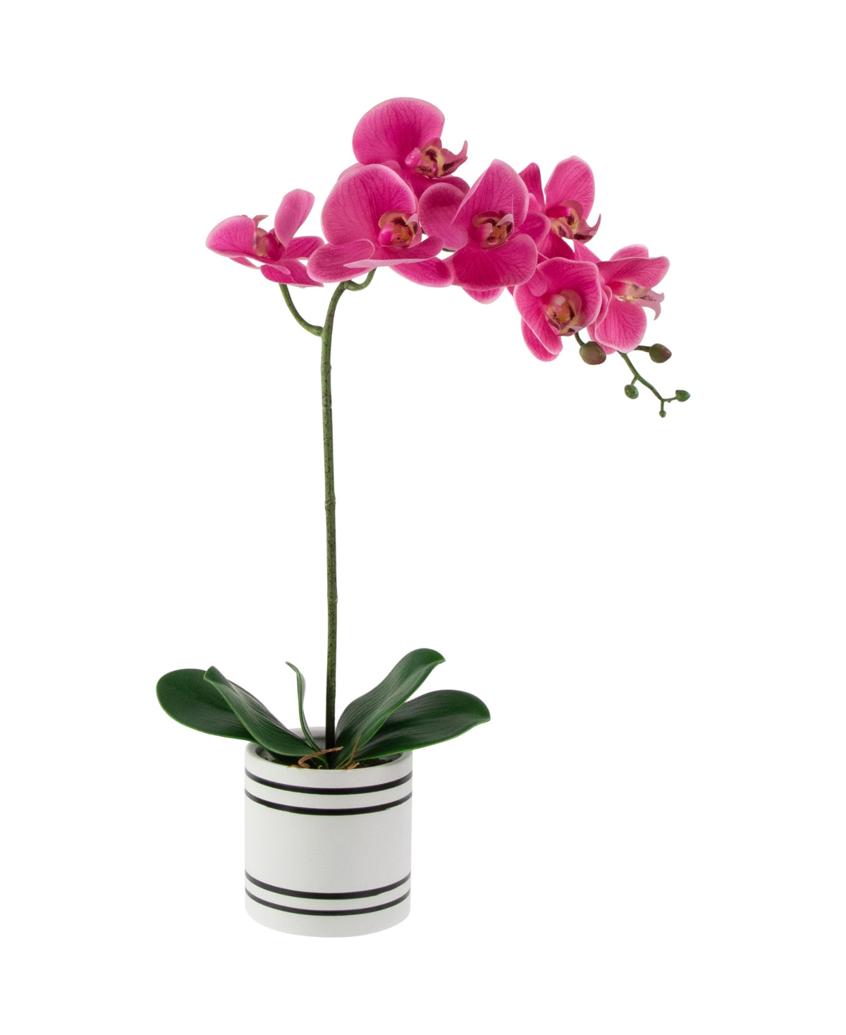 Northlight 2" Artificial Spring Orchids In A Striped Ceramic Pot In Pink