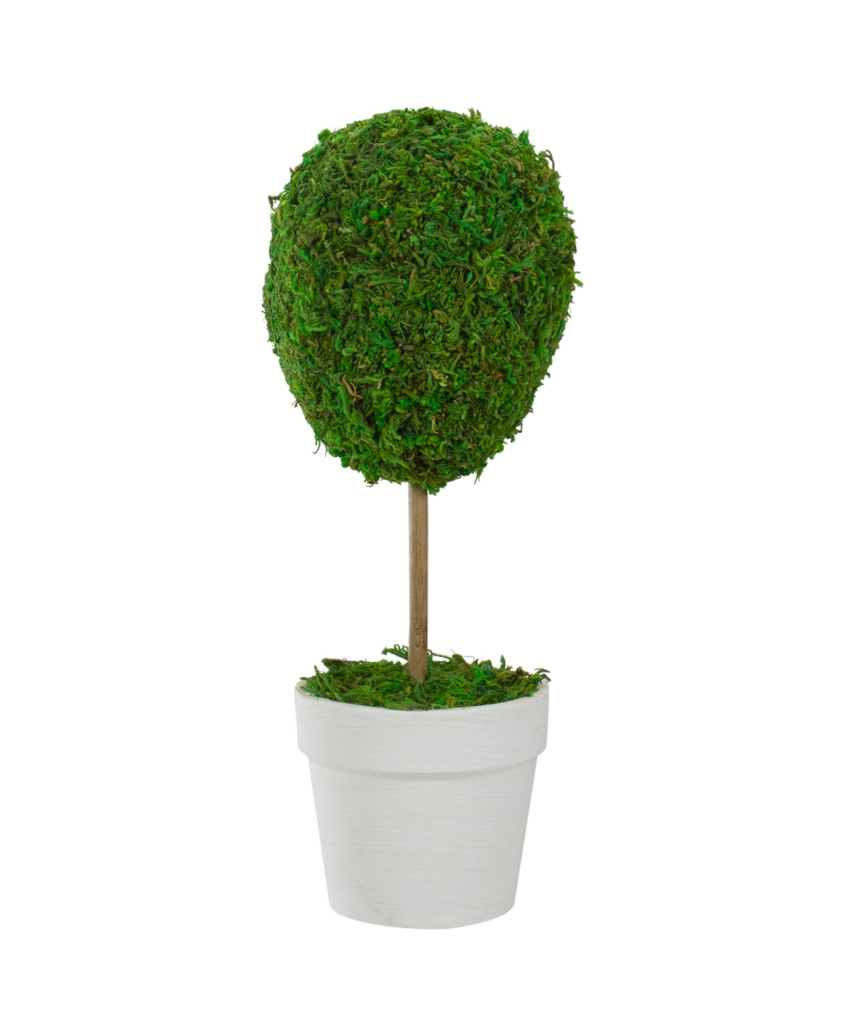 Northlight 14" Reindeer Moss Ball Potted Artificial Spring Topiary Tree In Green
