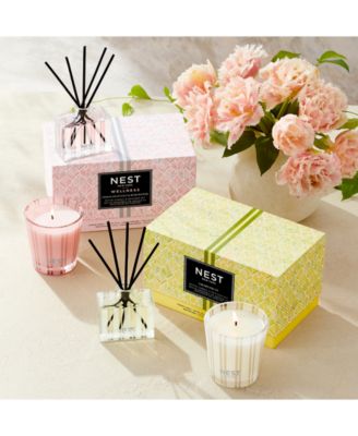 NEST New York 2-Pc. Himalayan Salt & Rosewater Petite Candle & Diffuser Set