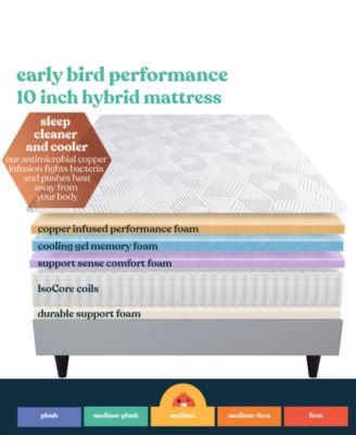 Corsicana Early Bird 10 Medium Mattress Collection In No Color