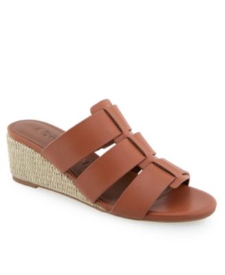 Aerosoles