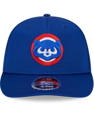 Men's Royal Chicago Cubs 2024 Batting Practice Low Profile 9FIFTY Snapback Hat
