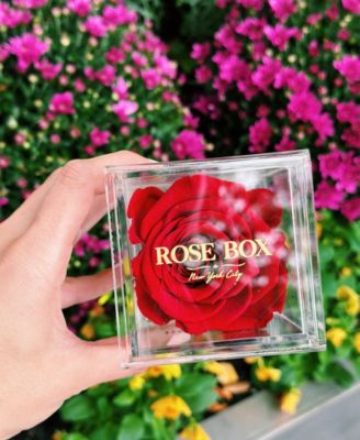 Jewelry box of Red Wine Long Lasting Preserved Real Rose, 1 Rose