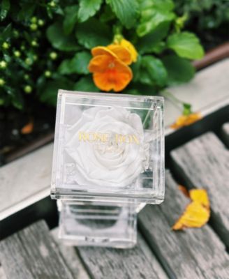 Jewelry box of Pure White Long Lasting Preserved Real Rose, 1 Rose