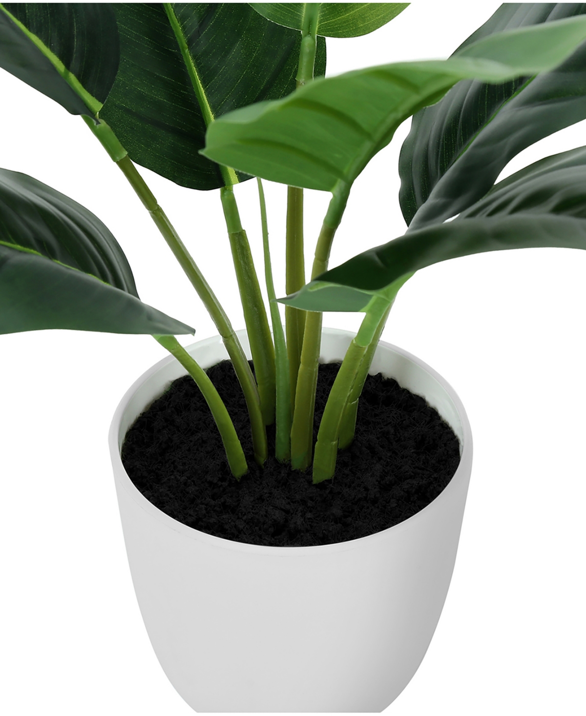 Monarch Specialties 17" Indoor Artificial Aureum Plant With Decorative White Pot In Green