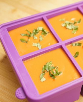 The Soup Master 6 cup soup freezer container