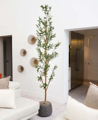 8ft. Artificial Olive Tree with Natural Trunk