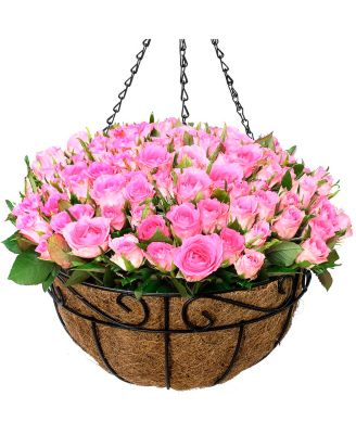Hanging Planter Baskets W/Coco Liner (4-Pack)