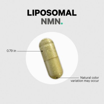 Liposomal NMN Supplement, NAD precursor, Resveratrol, Betaine, Riboflavin & B12, Quercetin, 90 ct