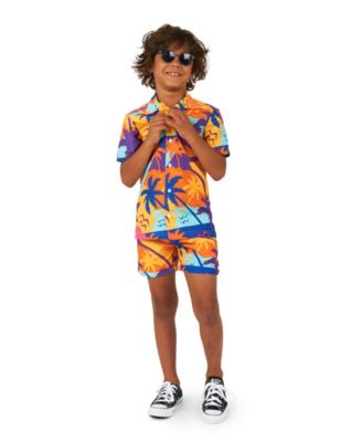 Little Boys 2 Pc Summer Shirt and Shorts Set