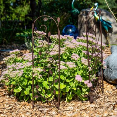 Metal Wire Rustic Plant Design Garden Trellis for Outdoor Climbing Flowers and Vines - 32" H - Brown - 2-Pack