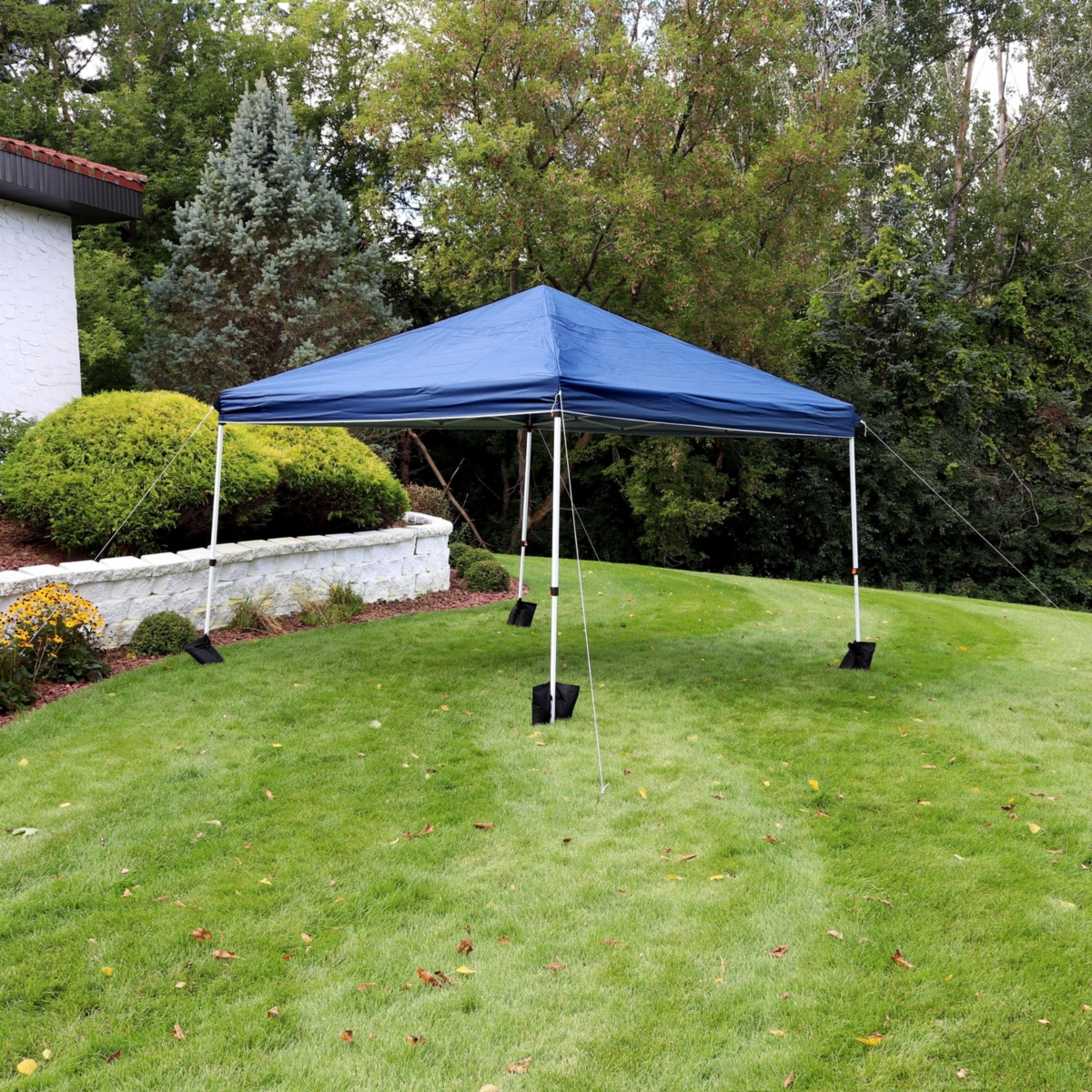 Standard Pop-Up Canopy with Carry Bag and Sandbags