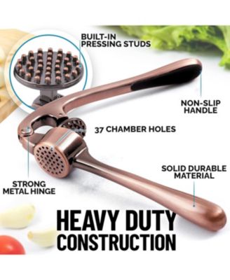 Premium Garlic Press Set - Rust Proof & Dishwasher Safe Professional Garlic Mincer Tool