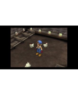 Harvest Moon: Save the Homeland