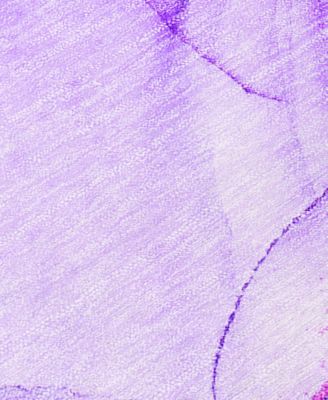 Chantille Machine Washable ACN507 2'3x7'6 Runner Area Rug