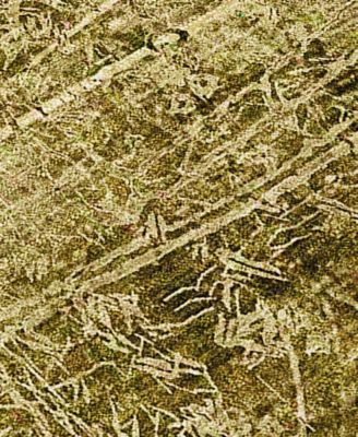 Chantille Machine Washable ACN559 9'x12' Area Rug