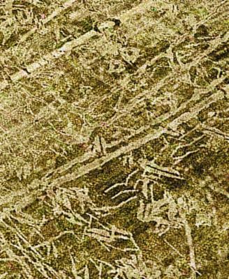 Chantille Machine Washable ACN559 3'x5' Area Rug