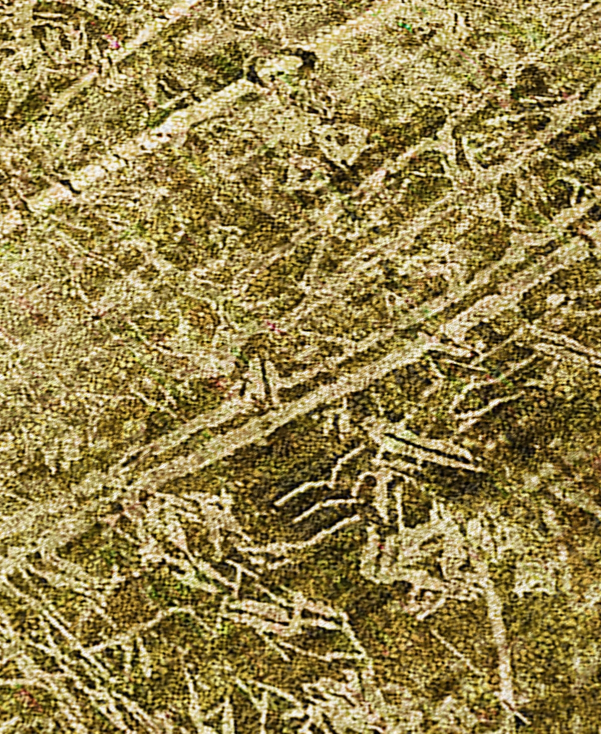 Addison Chantille Machine Washable Acn559 3'x5' Area Rug In Brown