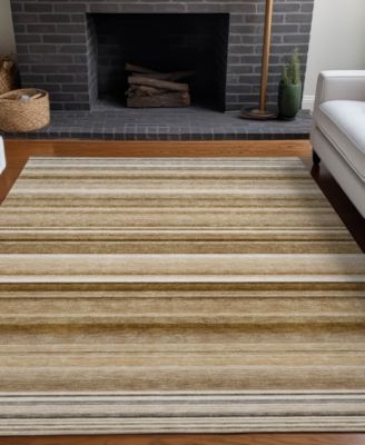 Chantille Machine Washable ACN529 8'x10' Area Rug