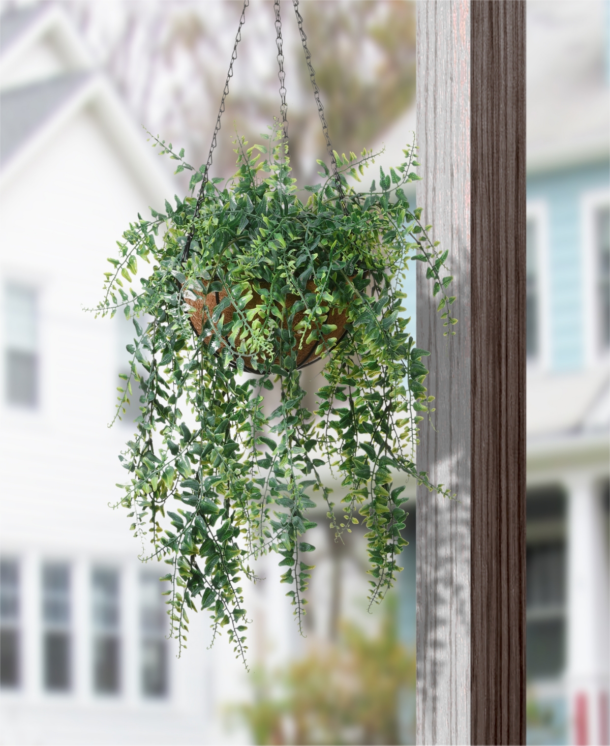 NATIONAL TREE COMPANY 21 FERN LEAVES HANGING BASKET