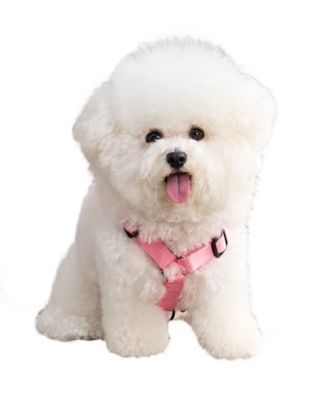 2 Piece Bichon PJ Set - Silver 2 Piece Bichon PJ Set - Silver