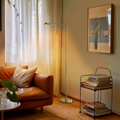 Leaf  Modern Pharmacy Reading LED Floor Lamp with Adjustable Neck (53")