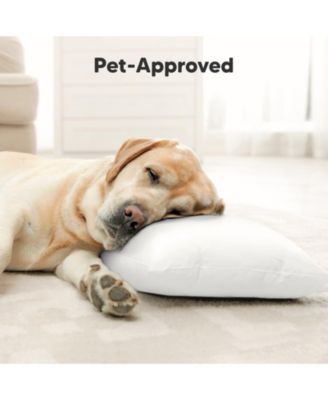 Cuddly Toddler Pillow with Pillowcase, 13X18 Kids Pillow for Sleeping, Small Travel Pillows, Nursery Pillow