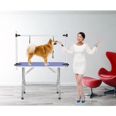 Heavy-Duty Folding Pet Grooming Table