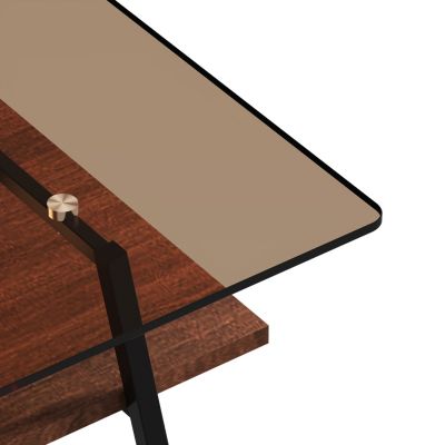 Modern Brown Glass Coffee Table