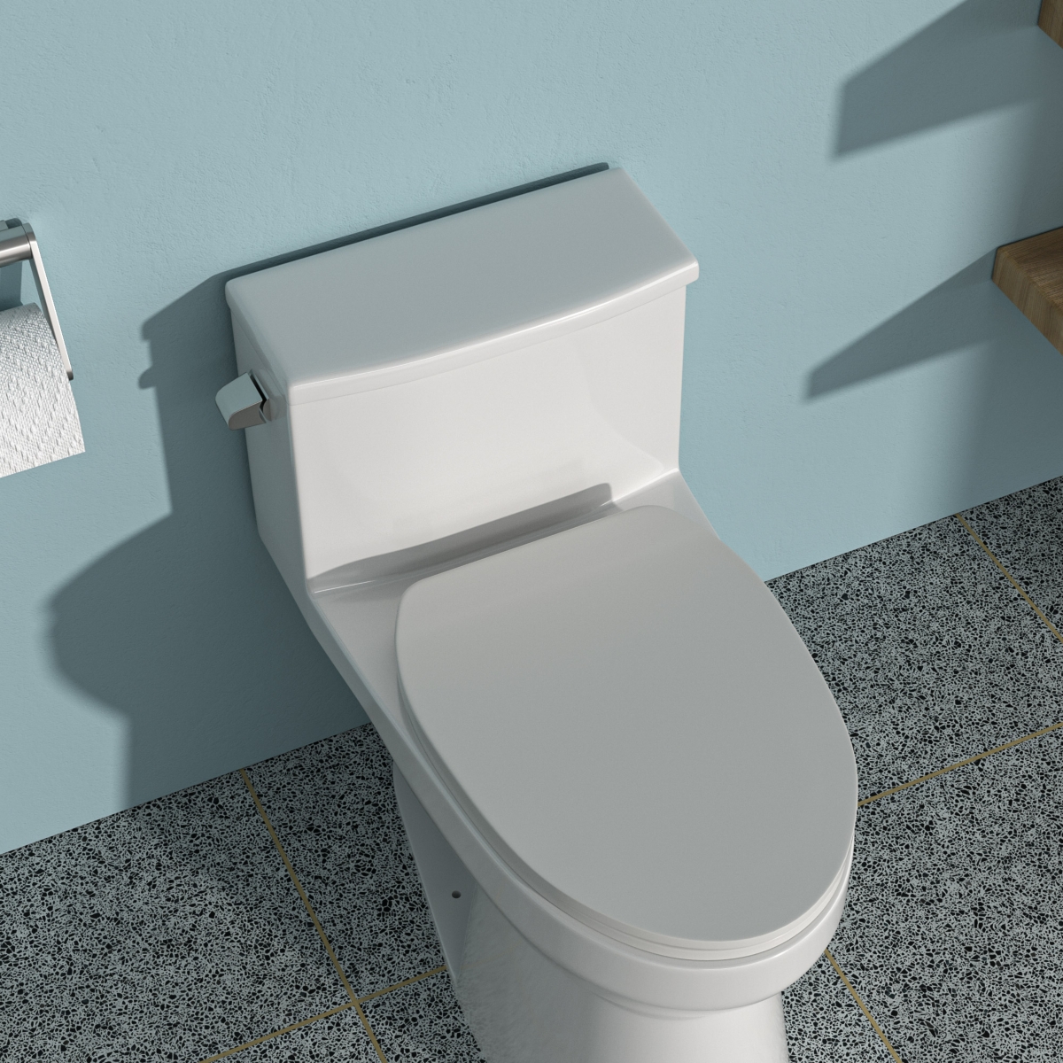 Ceramic One Piece Toilet, Single Flush With Soft Closing Seat - White