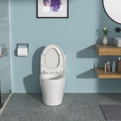 Ceramic One Piece Toilet, Dual Flush With Soft Closing Seat 0000