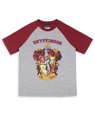 Big Boys Hogwarts Castle All Houses 2 Piece Raglan Pajama Set