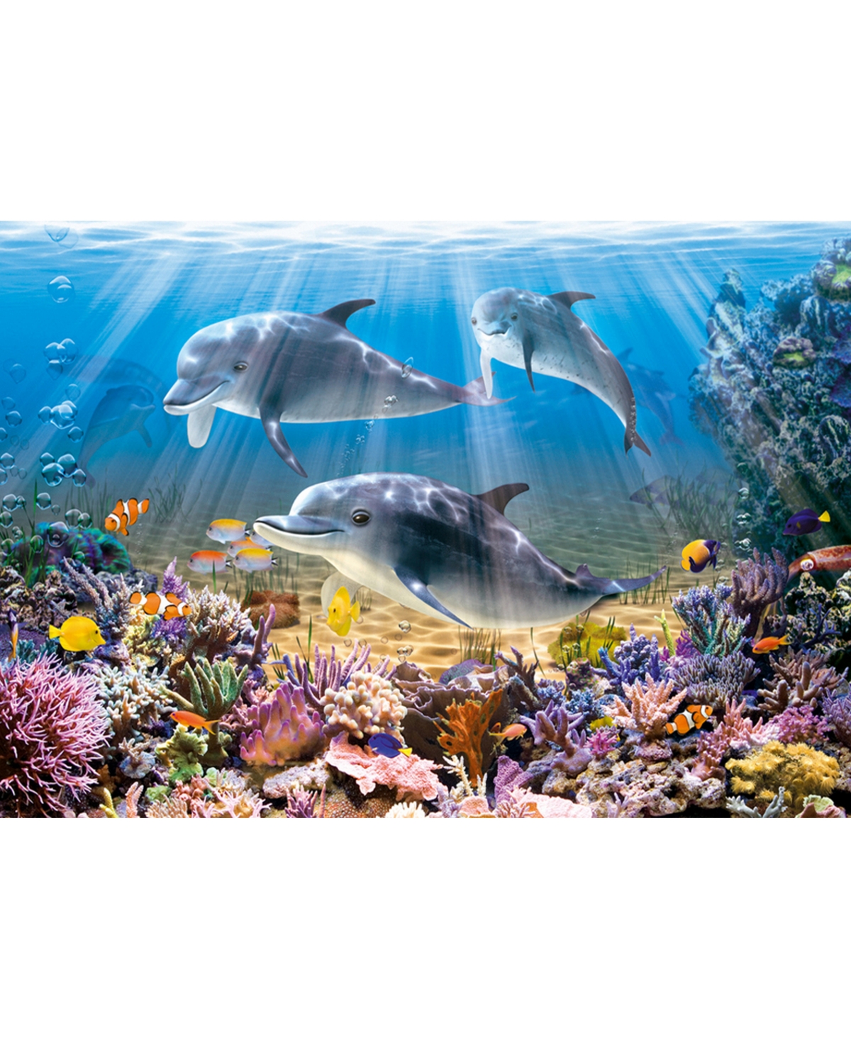Shop Castorland Dolphins Underwater 500 Piece Jigsaw Puzzle In Multicolor