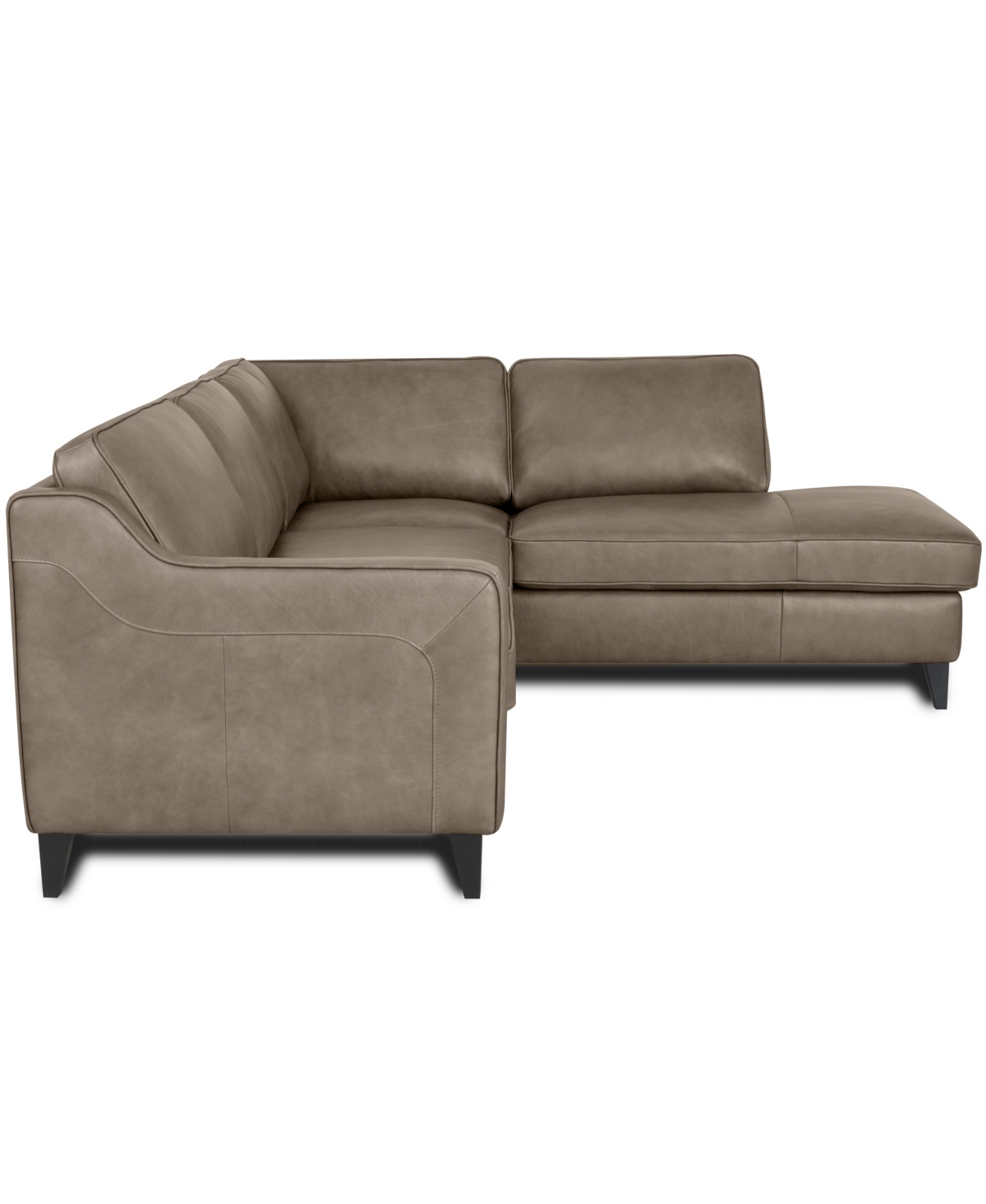 Rutherford Home Bari Leather 2-piece Sectional